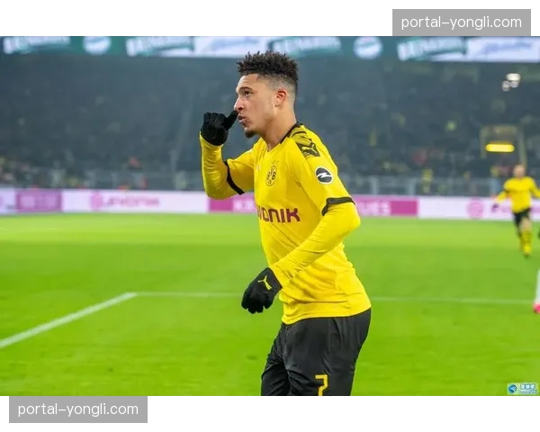 德甲本轮将使用新型足球，其飞行轨迹数据已向各队公开